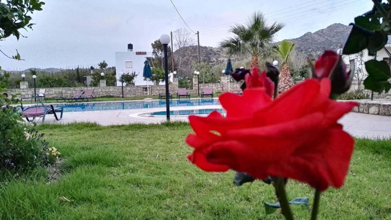 ماتالا Dimitris Villa Hotel المظهر الخارجي الصورة
